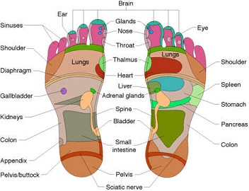 About Reflexology. FootChart